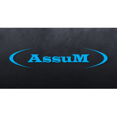 Тестомес Assum ТSH20A